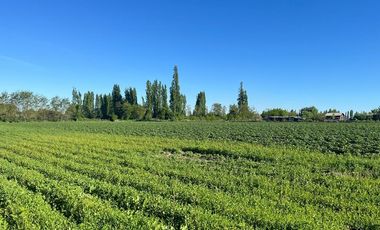 SE VENDE TERRENO 10 HA URBANO EN SAN JAVIER