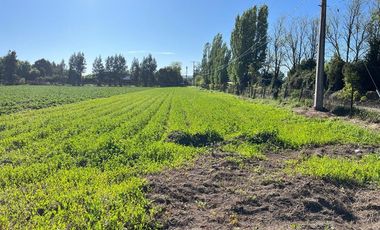 SE VENDE TERRENO 10 HA URBANO EN SAN JAVIER