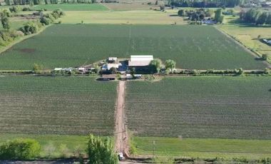 SE VENDE TERRENO 10 HA URBANO EN SAN JAVIER