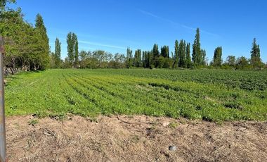 SE VENDE TERRENO 10 HA URBANO EN SAN JAVIER