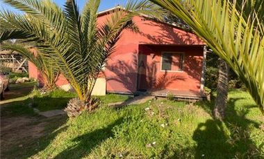 Terreno Ganadero 22.6ha en Lo Abarca, San Antonio