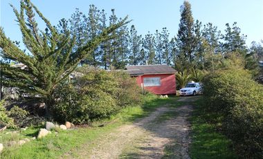 Terreno Ganadero 22.6ha en Lo Abarca, San Antonio