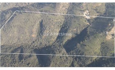 Terreno Ganadero 22.6ha en Lo Abarca, San Antonio
