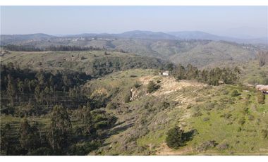 Terreno Ganadero 22.6ha en Lo Abarca, San Antonio