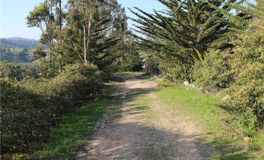 Terreno Ganadero 22.6ha en Lo Abarca, San Antonio