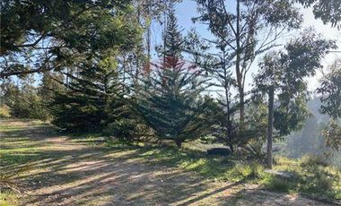 Terreno Ganadero 22.6ha en Lo Abarca, San Antonio