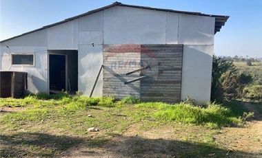 Terreno Ganadero 22.6ha en Lo Abarca, San Antonio