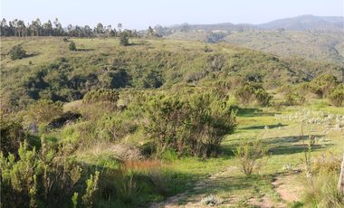 Terreno Ganadero 22.6ha en Lo Abarca, San Antonio