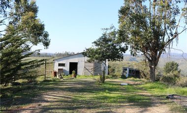 Terreno Ganadero 22.6ha en Lo Abarca, San Antonio