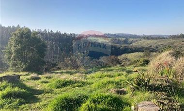Terreno Ganadero 22.6ha en Lo Abarca, San Antonio