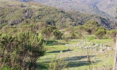 Terreno Ganadero 22.6ha en Lo Abarca, San Antonio