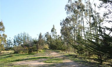 Terreno Ganadero 22.6ha en Lo Abarca, San Antonio