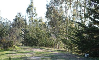 Terreno Ganadero 22.6ha en Lo Abarca, San Antonio