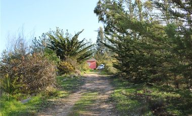Terreno Ganadero 22.6ha en Lo Abarca, San Antonio