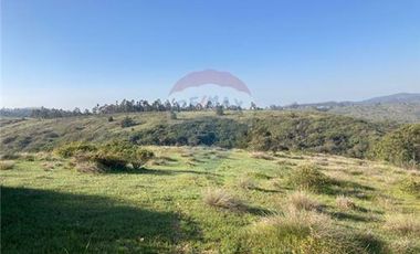 Terreno Ganadero 22.6ha en Lo Abarca, San Antonio