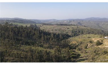 Terreno Ganadero 22.6ha en Lo Abarca, San Antonio