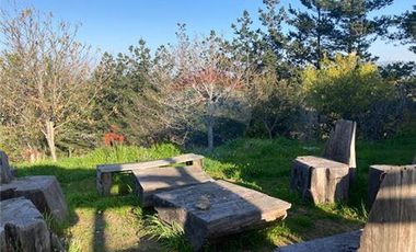 Terreno Ganadero 22.6ha en Lo Abarca, San Antonio