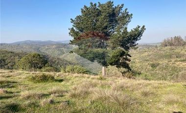 Terreno Ganadero 22.6ha en Lo Abarca, San Antonio