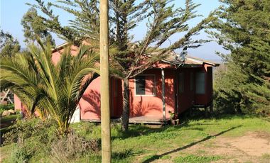 Terreno Ganadero 22.6ha en Lo Abarca, San Antonio