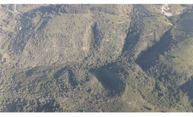 Terreno Ganadero 22.6ha en Lo Abarca, San Antonio