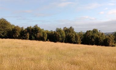 Parcela en Venta en Lelbun