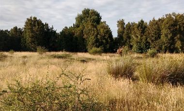 Parcela en Venta en Lelbun