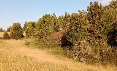 Parcela en Venta en Lelbun