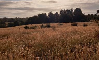 Parcela en Venta en Lelbun