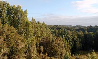 Parcela en Venta en Lelbun