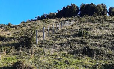 Parcela en Venta en Paildad