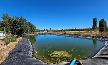 Parcela casa y negocio de Ensueño