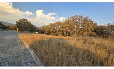 Terreno en Venta en Lago Norte, Haras Campestre