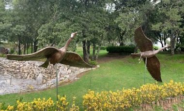 Terreno en Venta en Lago Norte, Haras Campestre