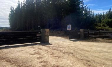 PARCELA 5000MTS PICHILEMU