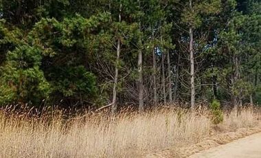 PARCELA 5000MTS PICHILEMU