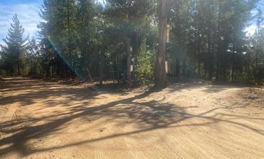 PARCELA 5000MTS PICHILEMU