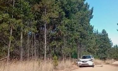 PARCELA 5000MTS PICHILEMU