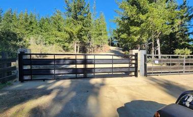 PARCELA 5000MTS PICHILEMU