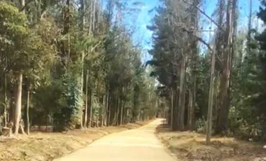 PARCELA 5000MTS PICHILEMU