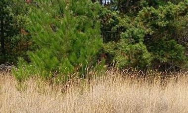 PARCELA 5000MTS PICHILEMU