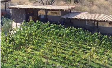 TERRENO EN VENTA EN RIBERA DEL CARDENAL EN CHAPALA