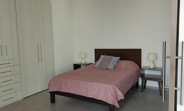 RENTA AMUEBLADO Y EQUIPADO