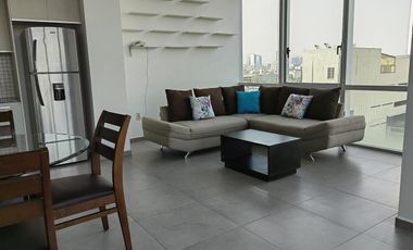 RENTA AMUEBLADO Y EQUIPADO