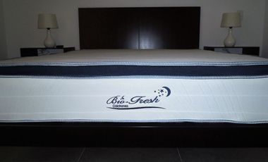 RENTA SUITE AMUEBLADA