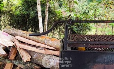 Casa en arriendo, sector Gallinazo. Villamaría.