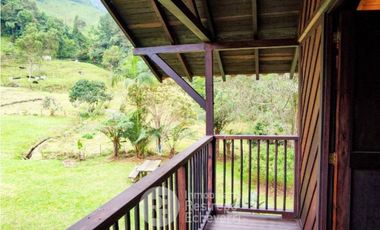 Casa en arriendo, sector Gallinazo. Villamaría.