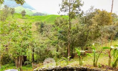 Casa en arriendo, sector Gallinazo. Villamaría.