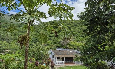 Venta Casa Campestre Ideal para Rentas Cortas en El Boquerón  Tolima