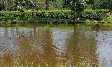 Vendo o Permuto Finca en Melgar Tolima | Proyecto Turístico
