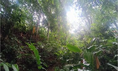CASA CON LOTE EN COMBIA